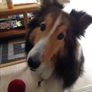 Meet your Posher, Deborah